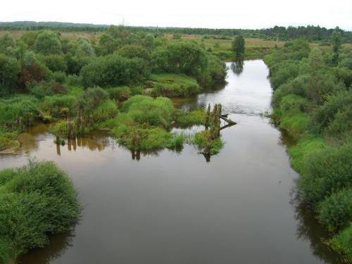 Река Рессета. Вид с моста в Кцыни