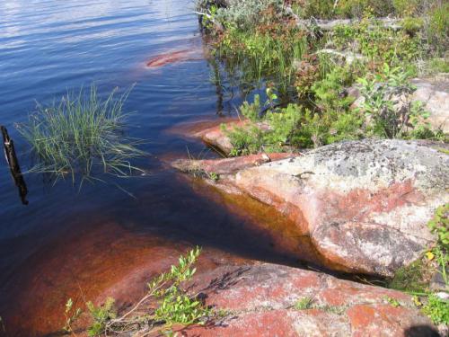 Ондозеро, средняя Карелия. В красных камнях.