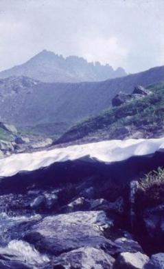 снежник на склоне Манараги