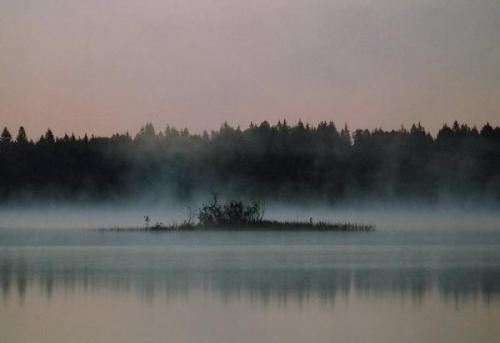 Туманное утро острова Закочужья