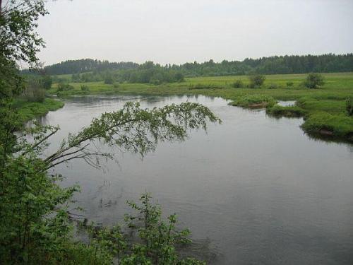 река Осуга