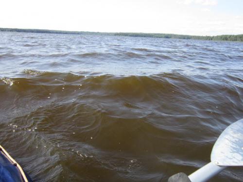 Волна на 20-километровом диком заболоченном участке озера Волго.